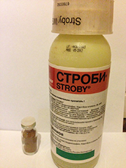 СТРОБИ фунгицид 10 гр.