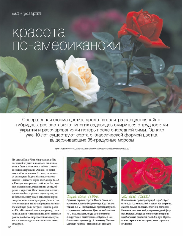 Журнал Садовник апрель 2012